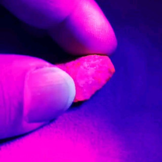 輝く天然ルビー：紫外線の下で光る