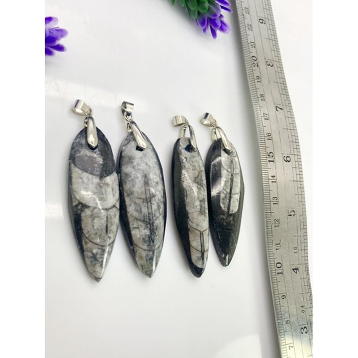 독특한 검은색 화석 펜던트 목걸이 - 천연의 희귀품